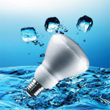 CE R80 Energy Saving Bulbs (BNF R80)