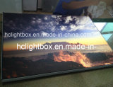 Frameless LED Lgiht Box Advertising Textile Fabric Light Box
