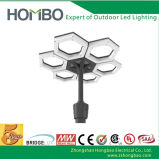 Hot Sale 60W LED Garden Light, Solar LED Garden Light