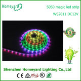 60 LEDs 5050 LED Flexible Strip Light Ws2811