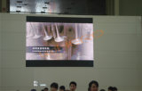 Full Color P10 Indoor Advertising LED Screen Display Prices