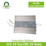 Induction Lamp Electronic Ballast with 5 Years Warranty