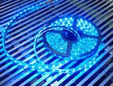 LED Strip Light (5050SMD-60PCS/M)