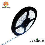 SMD5630 LED Flexible LED Strip Light Waterproof 360LEDs