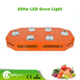 High Power and Energy Saving Full Spectrum 250W LED Grow Light