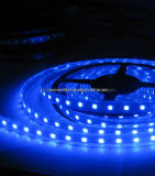 5050 Blue SMD LED Flexible Strip Light