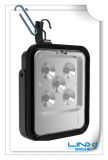 Functional Portable LED Work Light with UL, CE RoHS Approval (LX-GZ2P008-15W100RZ)