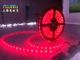 14.4W 5 Meter LED Strip Light with 2835 Chips