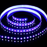 5060+2835 RGB+W Flexible Strip 96 LEDs/M LED Light