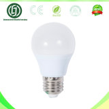 Factory Price Ebay China 5W LED Light Bulb