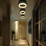 Decorative LED Ceiling Light (HS31001X-1)