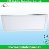 CE&RoHS Approved LED Ceiling Panel Light with 600*1200mm