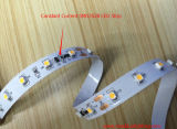 70 LEDs/M 10mm SMD3528 Cc LED Strip Lights