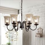 Fashion American Style European Traditional Antique Vintage Classical Iron Glass Chandelier (D2091)