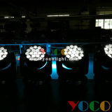19*12W RGBW 4in1 LED Moving Head Beam Light Wash Zoom
