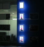 Window Display Double Side LED Acrylic Slim Light Box (CDH03-A4P-16)