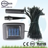 100 LEDs Solar Energy LED String Light