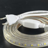 Customized Available 7W/M Hv SMD5050 LED Strip Light IP68