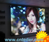 Indoor Full Color Advertising LED Screen Display (pH6)