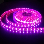 LED 5050 Strip Lights