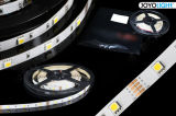 SMD5050 30 LEDs/M Strip Light (CE, RoHS, ETL)