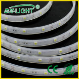 5050 30LEDs LED Light Bar White Color Waterproof LED Strip