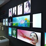 The LED Light Box Display Advertising