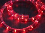 120V 10mm Xmas Red LED Rope Lights Outdoor
