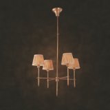 Fashion Chandelier with Copper Finished (N10009-4)