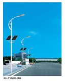 6m-12m Solar&Wind Hybrid Street Light for Choice