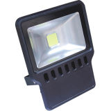 LED Flood Light (TP-H11-100W01)