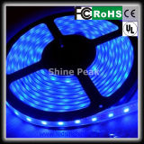 Hot Sell LED Strip Light 5050 for Hotel Decoration