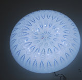 LED Ceiling Light with Peacock Feather