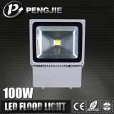 Factory Wholesale 100W LED RGB LED Flood Light Outdoor
