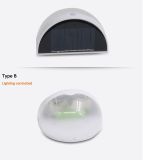 Hot Sale 1W Solar LED Garden Light with CE RoHS (WLS100-001-B)