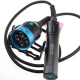 CREE LED Waterproof 100m Canister Diving Torch Flashlight