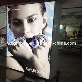 Double Sided Poster Frame Double Sides Light Box Outdoor LED Sign Floor Stand Light Box