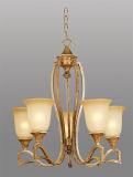 Glass Shade Chandelier (HLH-21479-5)