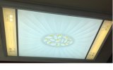 Crystal Lighting / LED Ceiling Down Light