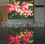 Indoor Full Color LED Display (P4mm)
