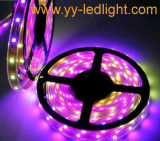 300 LEDs 5050 SMD RGB Strip light