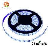 SMD5630 Waterproof LED Strip Light From Factory