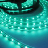 Green 60 LEDs/M 3528 SMD LED Strip Light