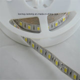 14.4W/M SMD5050 Flexible LED Strip Light with White Color