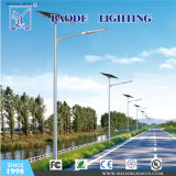 Customized Module 70/100W Solar LED Street Light (BDTYN70)