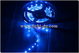 Indoor Use Back Light LED Strip 5050