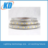RGBW LED Strip Lights 120LEDs/M in Double Row