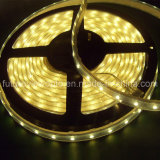 SMD 3528 Flexible LED Strip Light (3 years warranty, with CE&RoHS)