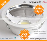 COB 1*30W LED Ceiling Light/ LED Ceiling Lamp/ LED Downlight/LED Cabinet Light