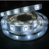 LED Strip Light (YG-5050NW-120SP)